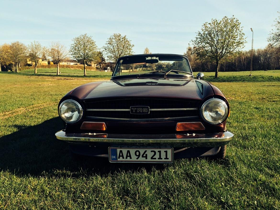 Triumph TR6 2,5 Overdrive billede 9