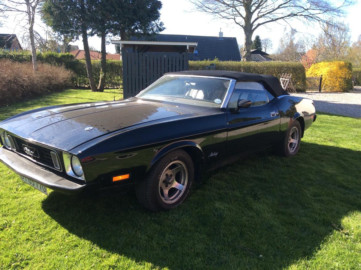 Ford Mustang Cabriolet billede 22