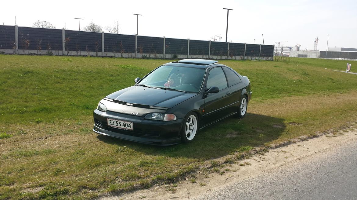 Honda civic coupe billede 2