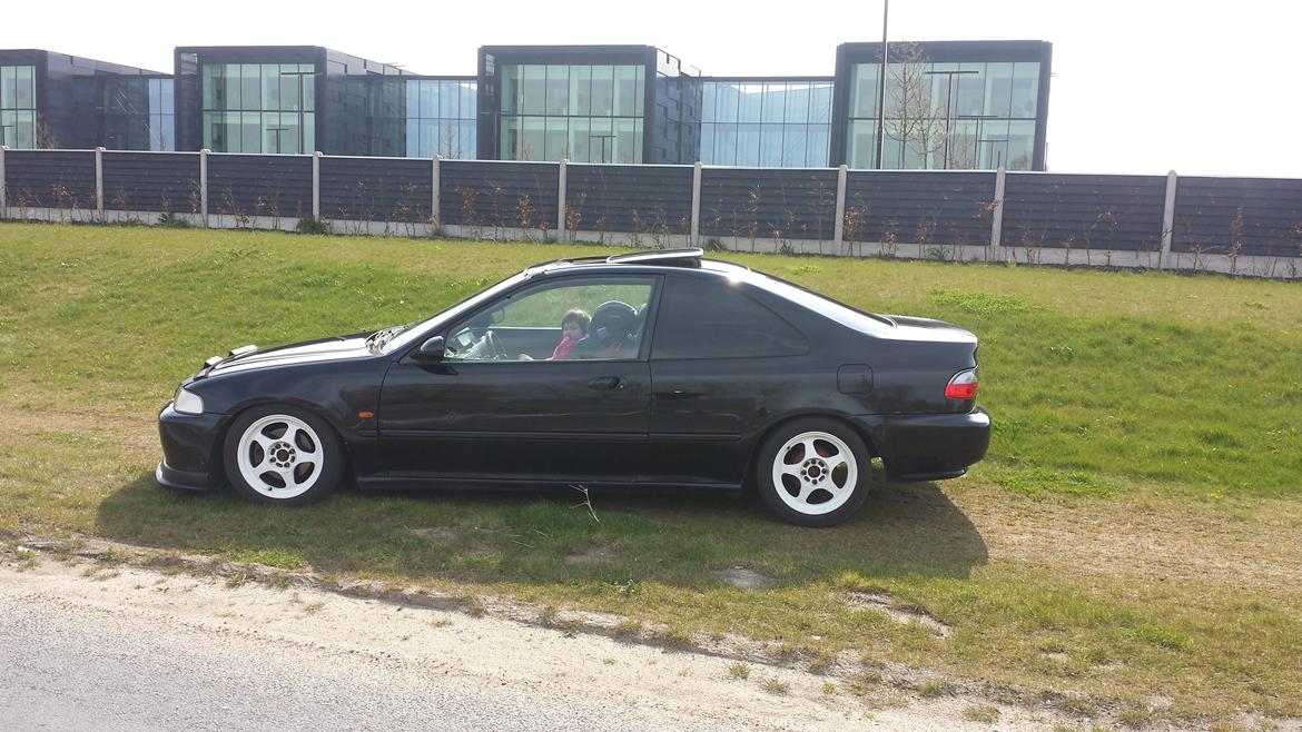 Honda civic coupe billede 3