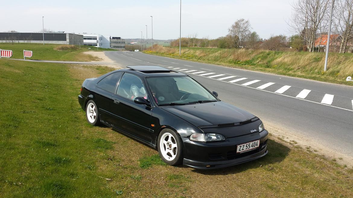 Honda civic coupe billede 4
