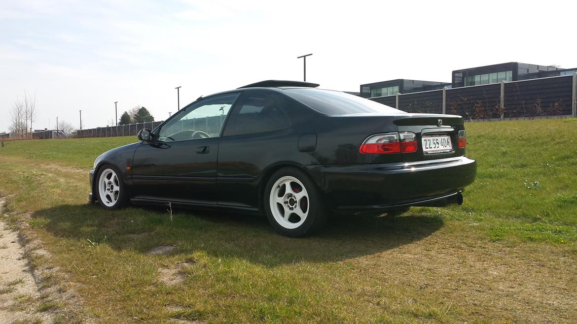 Honda civic coupe billede 5
