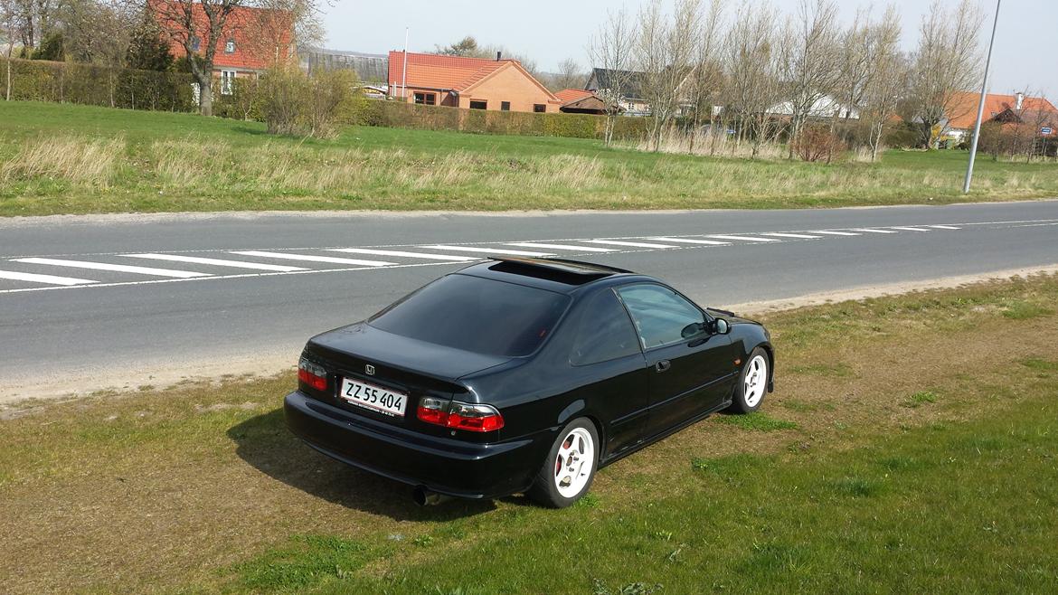 Honda civic coupe billede 6