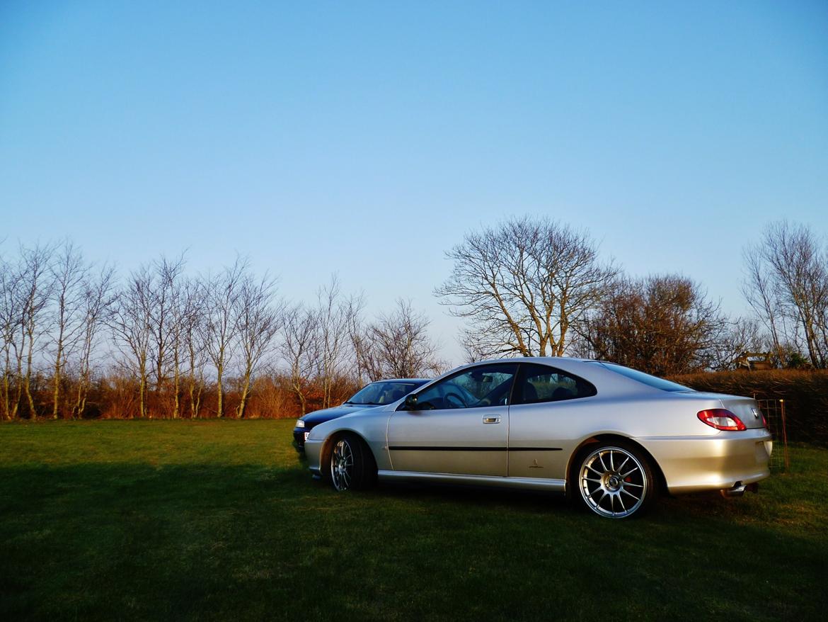 Peugeot 406 Coupe 3.0 V6 billede 8