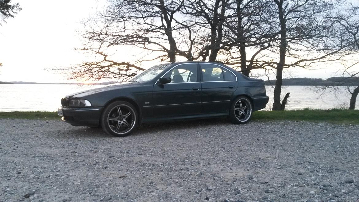 BMW 523I E39 Sedan billede 2
