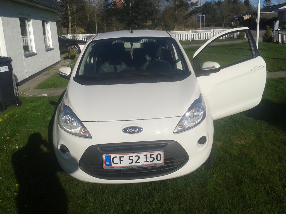 Ford Ka Mk2 billede 13