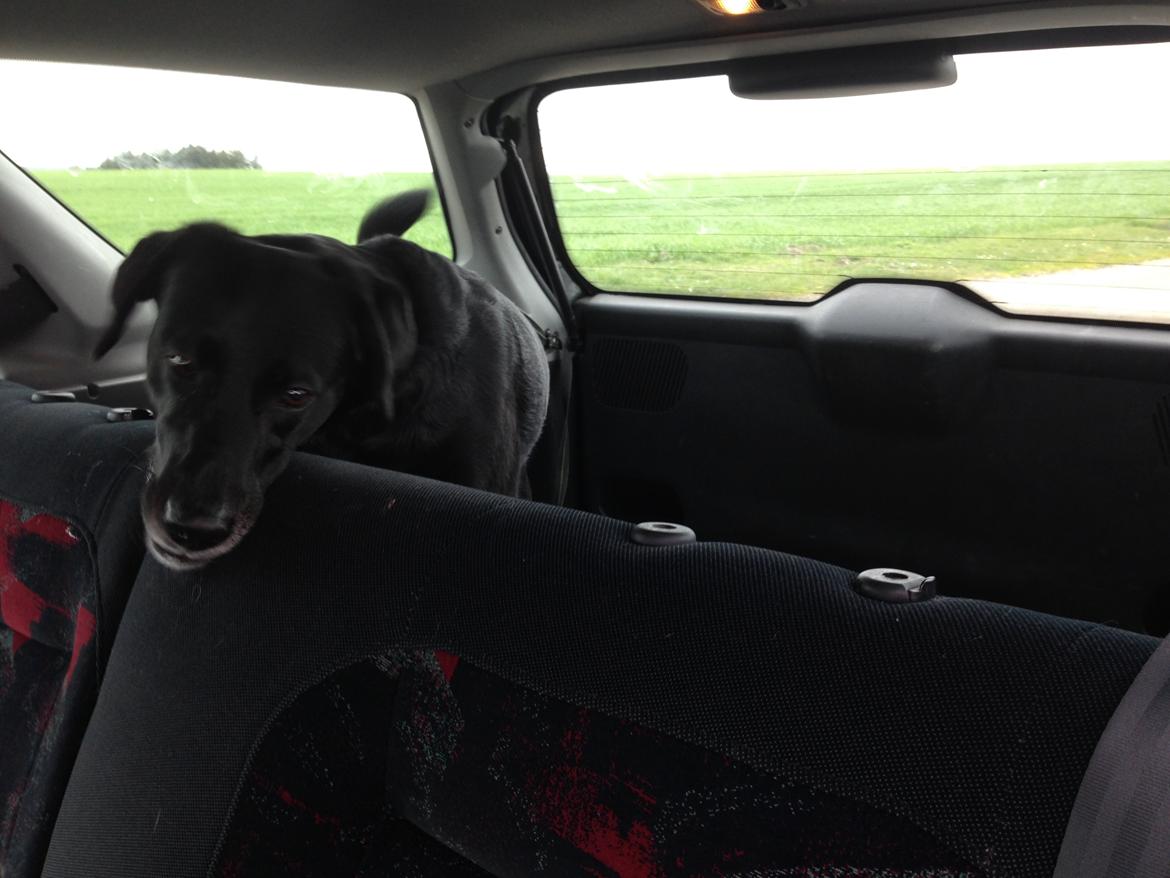 Peugeot 306 XS 2.0 16v Stationcar billede 12