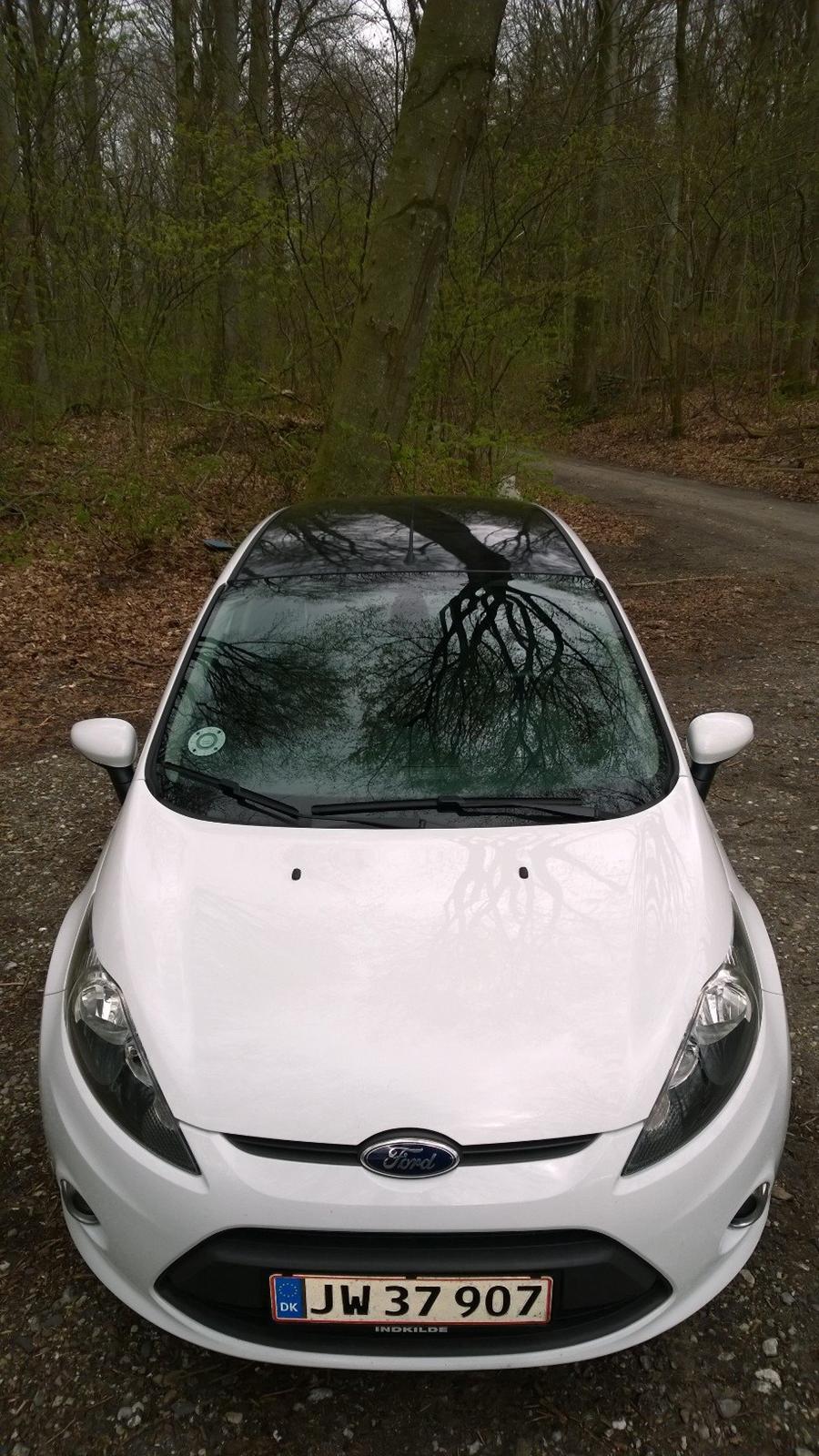 Ford Fiesta Trend - elsker det sorte tag, det gør bilen så meget mere aggressiv i udsende ;-) billede 6