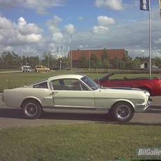 Amerikaner ford mustang GT 350 clone