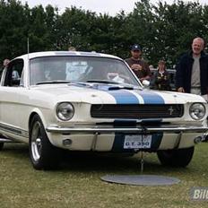 Amerikaner ford mustang GT 350 clone
