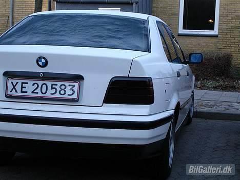 BMW 318i billede 12