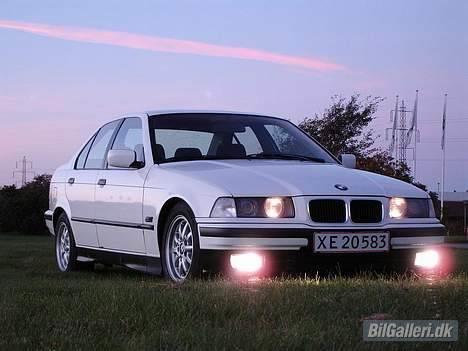 BMW 318i billede 14