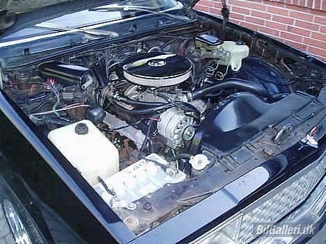 Amerikaner El Camino "Solgt" billede 12