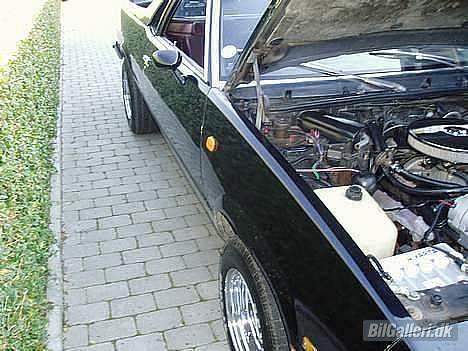 Amerikaner El Camino "Solgt" billede 13