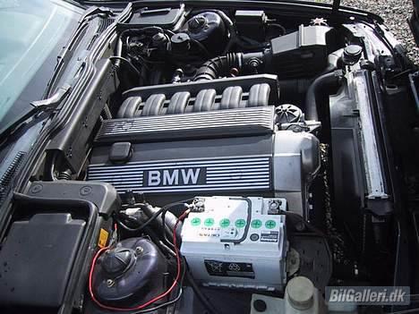 BMW E34 525i billede 8