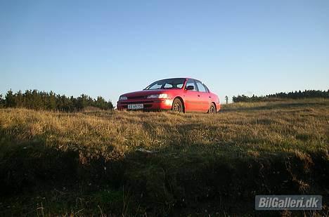 Toyota Corolla SOLGT. billede 1