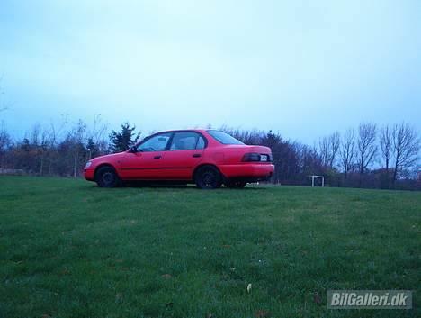 Toyota Corolla SOLGT. billede 2