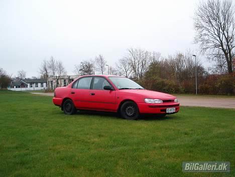 Toyota Corolla SOLGT. billede 4
