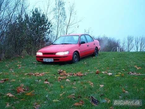 Toyota Corolla SOLGT. billede 8