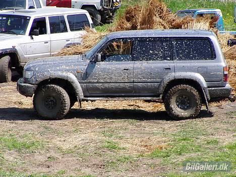 Toyota Landcruiser vx 80 billede 9