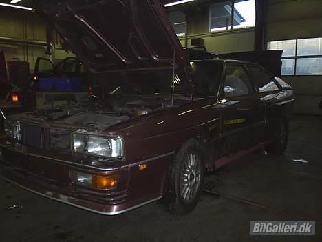 Audi urquattro billede 2