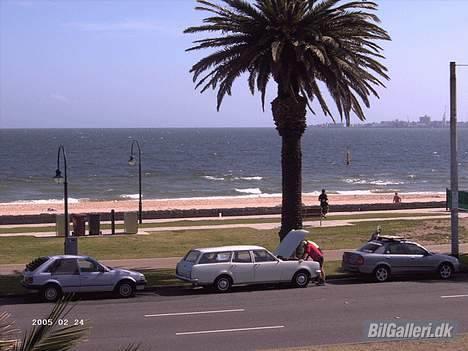 Amerikaner Holden Kingswood - Melbourne, St. Kilda, The Beach, interesserede købere kigger på bilen, de hentede den dagen efter for 600 aus$ billede 19