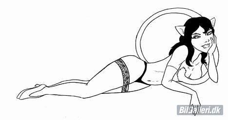 Skoda Fabia Combi 1,9 TDi PD - En tegning jeg gerne vil have overført til bagruden. billede 14