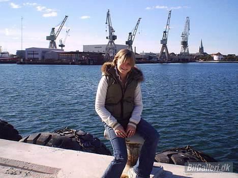 Ford Escort (kurtklorin) Solgt billede 15