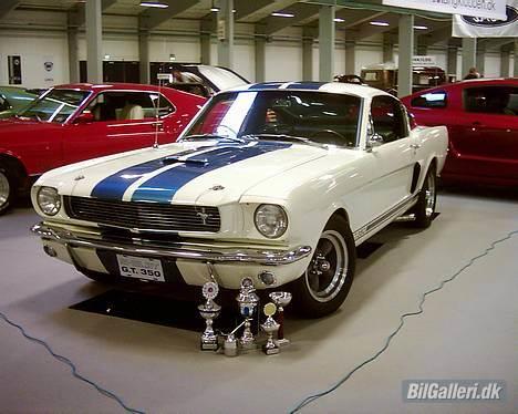 Amerikaner ford mustang GT 350 clone - shelbyen var i bella centeret 2005 billede 1