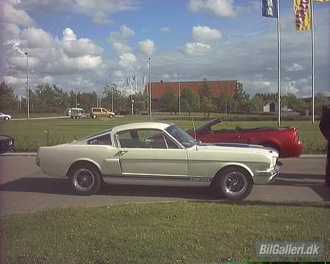 Amerikaner ford mustang GT 350 clone billede 2