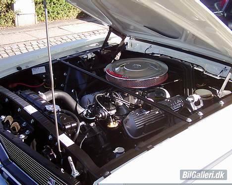 Amerikaner ford mustang GT 350 clone - 289 cui. 306 hk billede 7