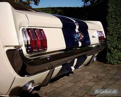 Amerikaner ford mustang GT 350 clone billede 16