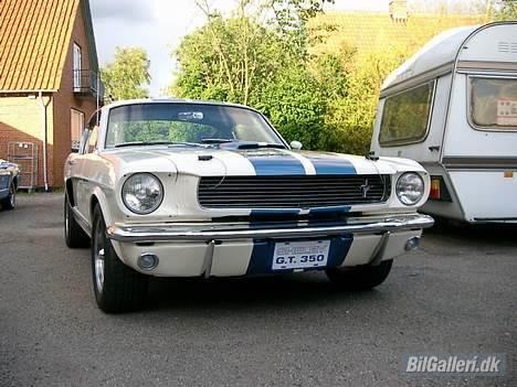Amerikaner ford mustang GT 350 clone billede 17