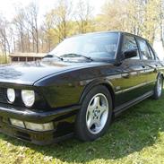 BMW e28 3,5 hartge