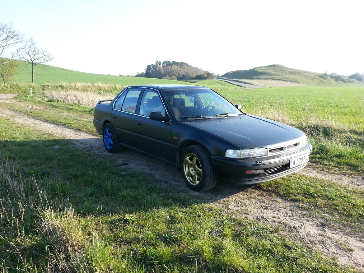 Honda accord 2.2i billede 2