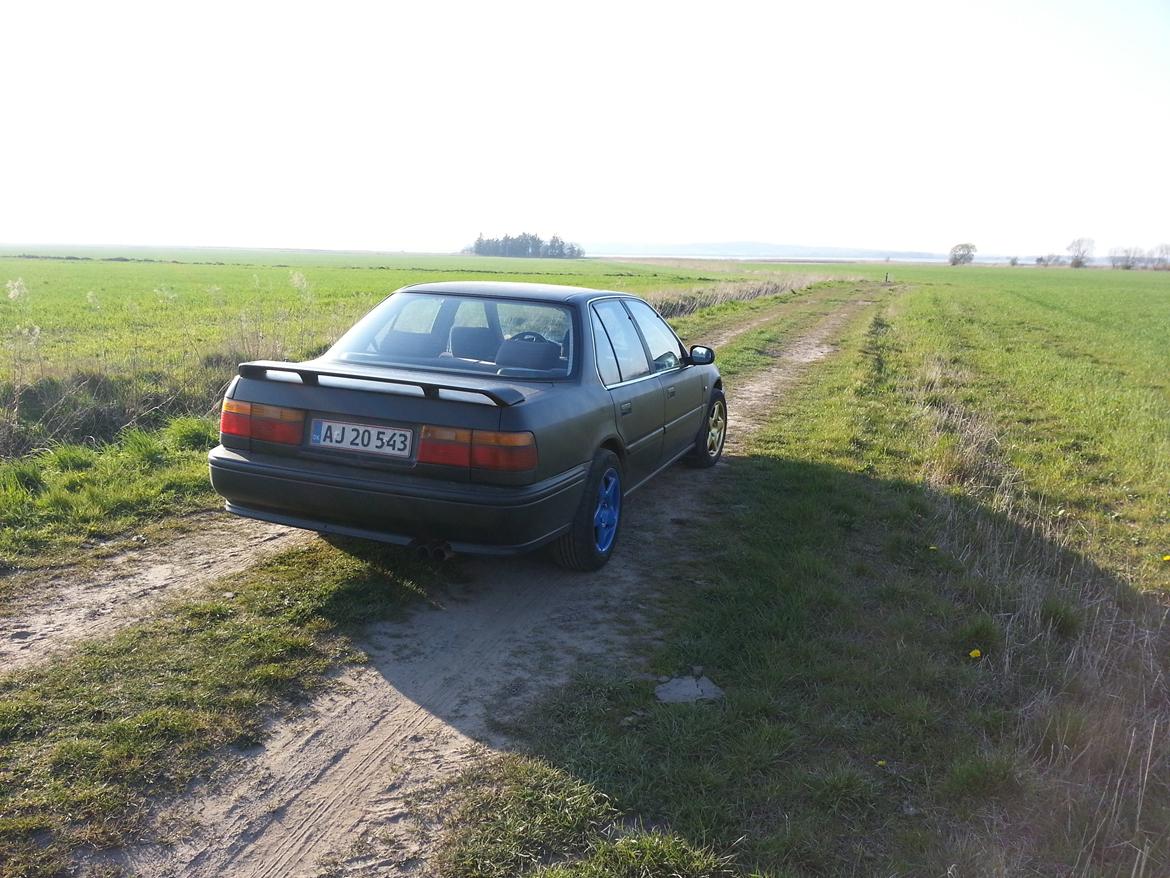 Honda accord 2.2i billede 3