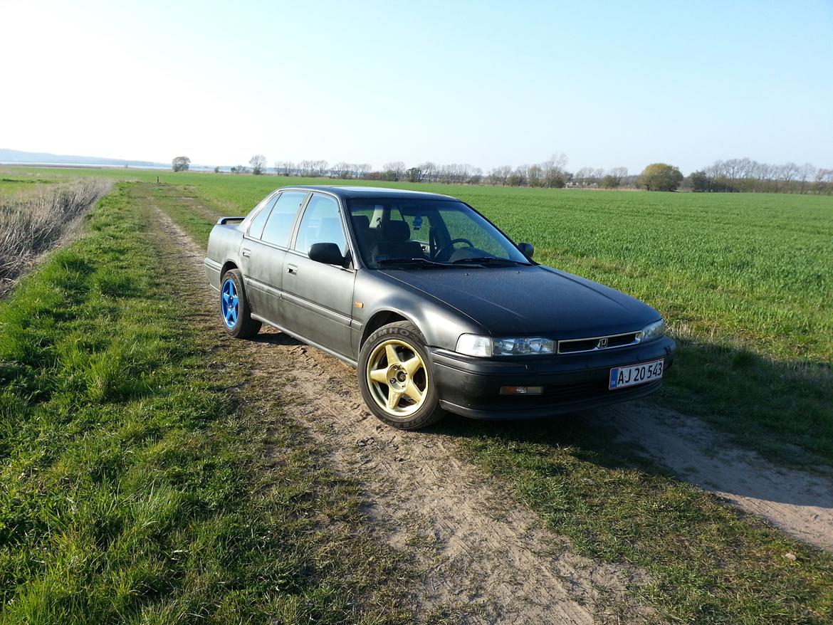 Honda accord 2.2i billede 8