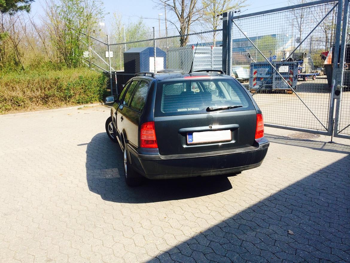 Skoda octavia combi billede 11