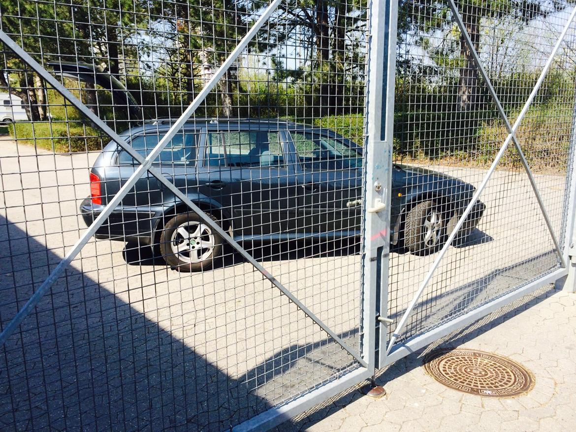 Skoda octavia combi billede 4