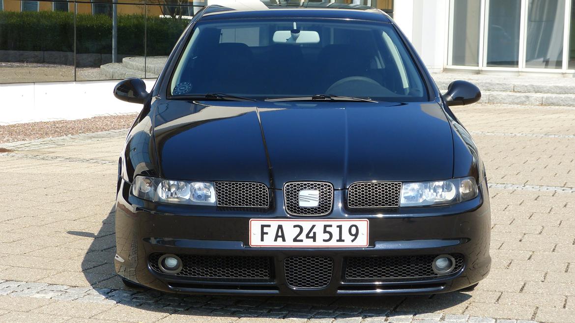 Seat Leon 1,9 TDI Top Sport billede 2