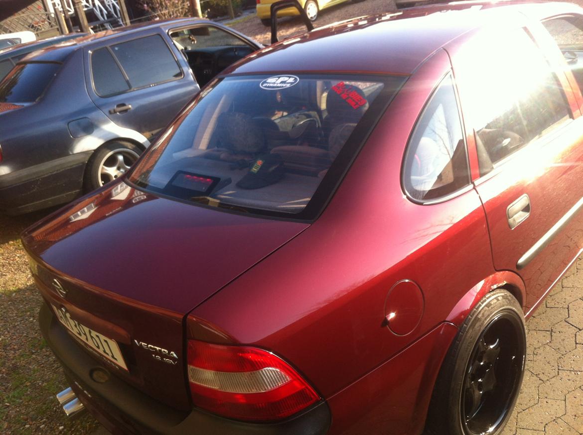 Opel Vectra B 1,6 16v billede 11