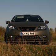 Seat Ibiza style