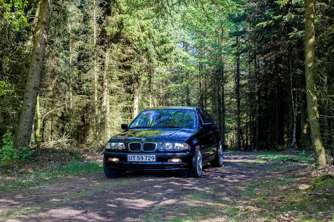 BMW E46 316i billede 2