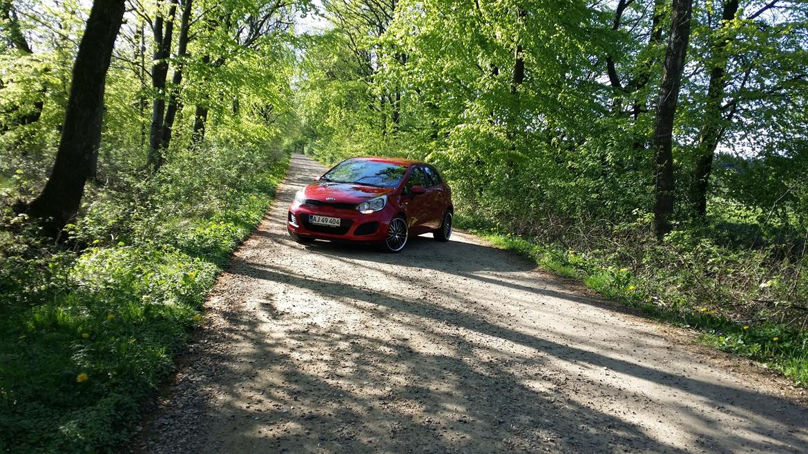 Kia Rio Active Limited billede 1