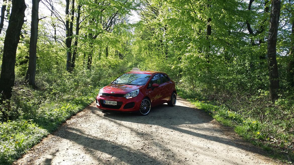 Kia Rio Active Limited billede 2