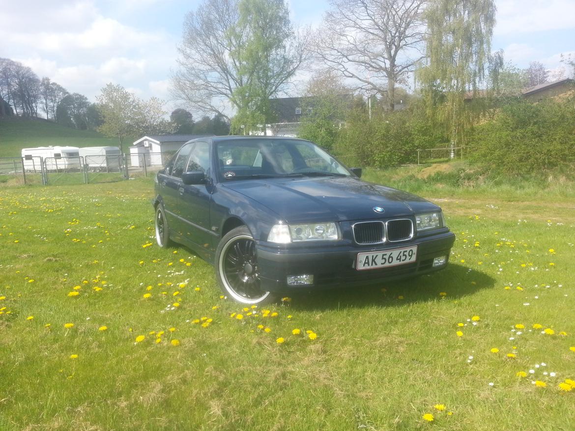 BMW E36 316i billede 1