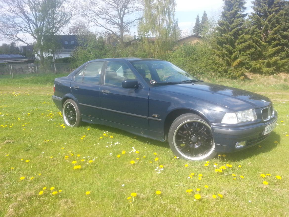 BMW E36 316i billede 2