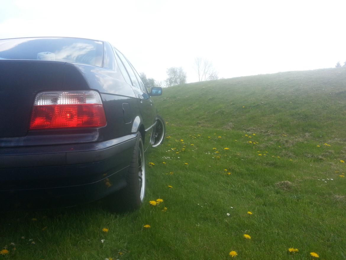 BMW E36 316i billede 4