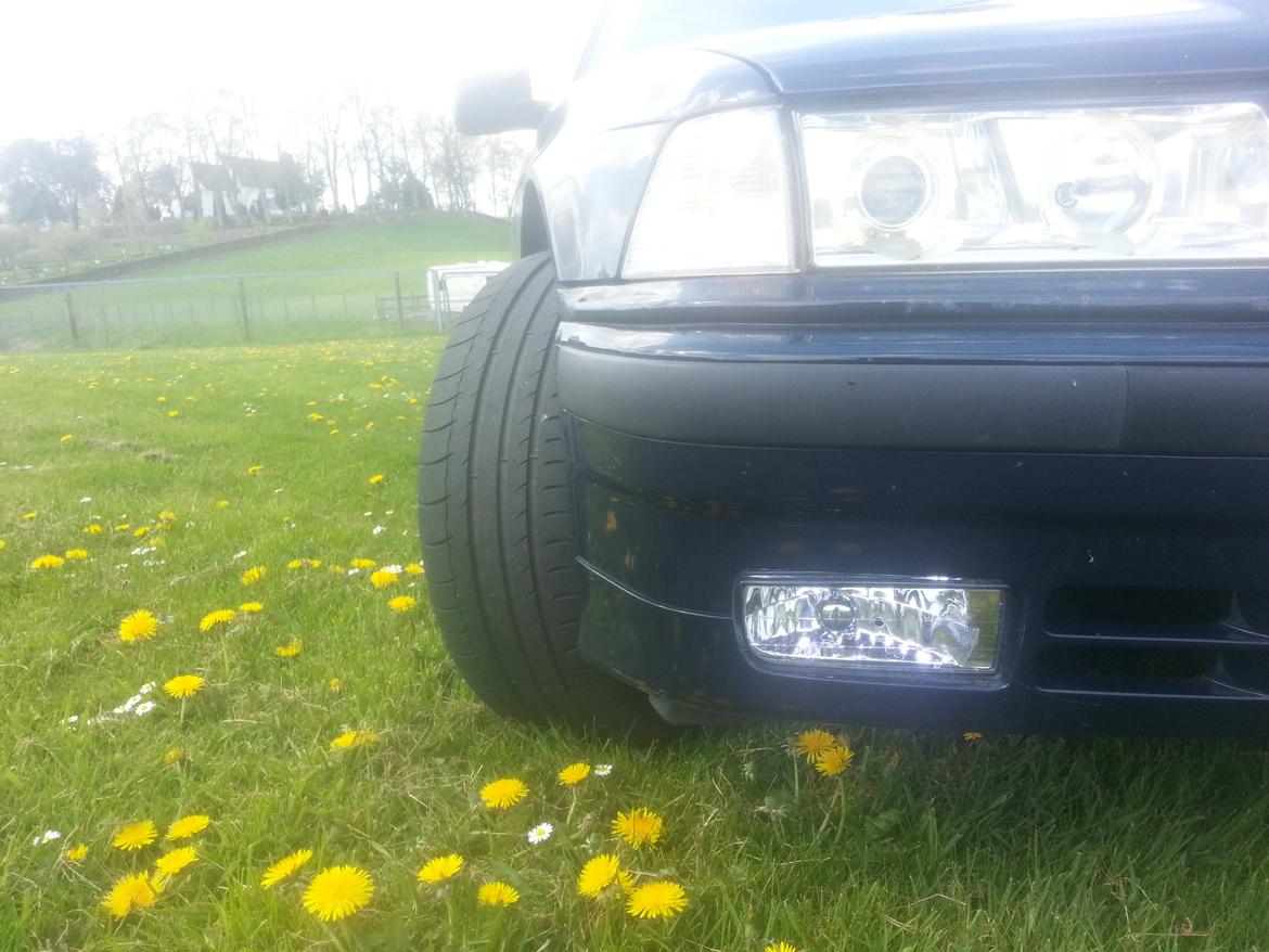 BMW E36 316i billede 5