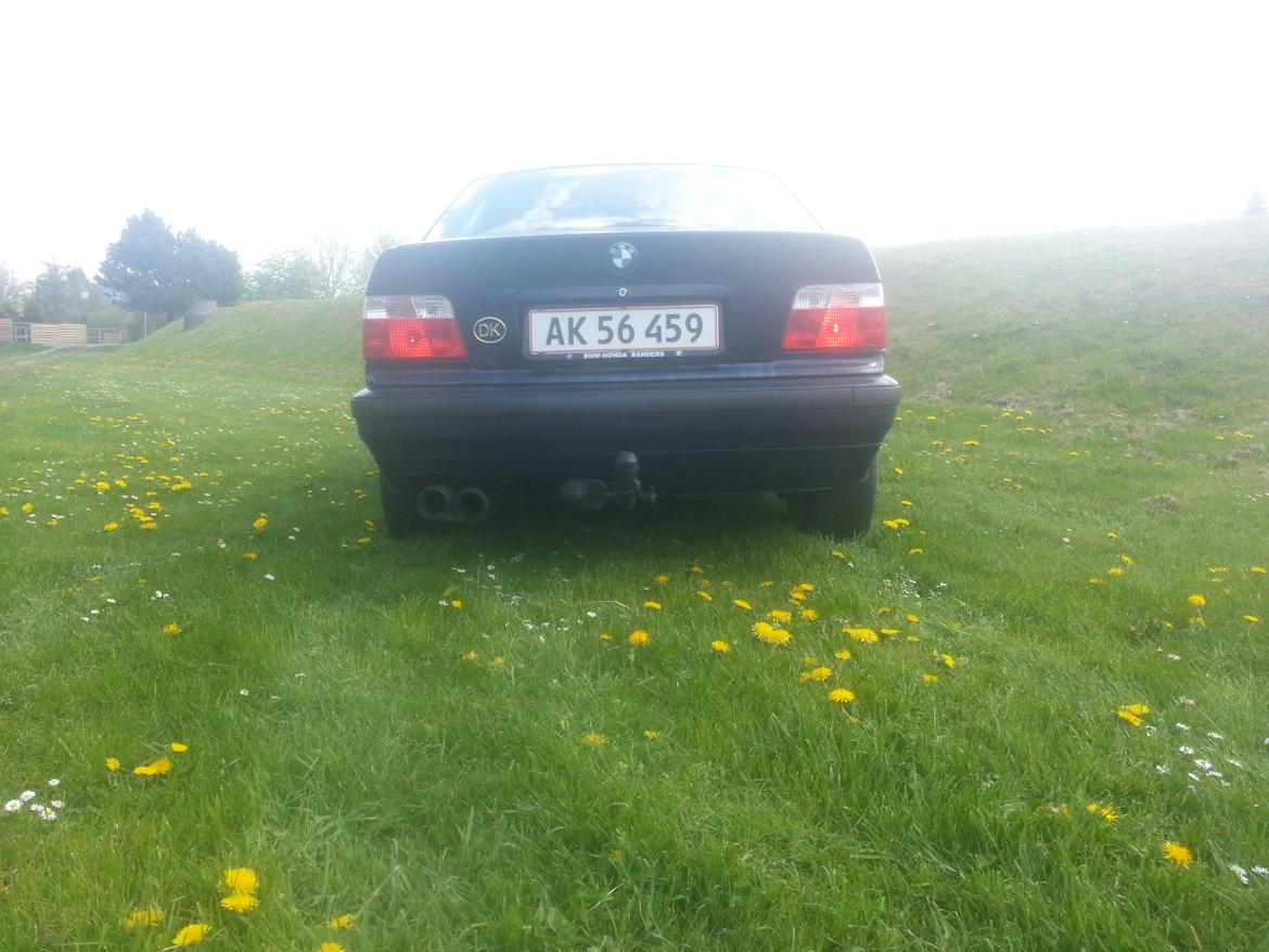 BMW E36 316i billede 6